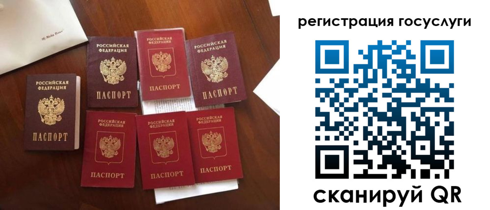 прописка гарантия в Рязани